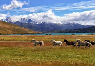 Relocating to Latin America: A New Adventure Awaits